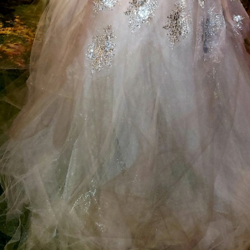 PRINCESS Custom Order Silver & White Wedding Gown - Picture 7 of 8